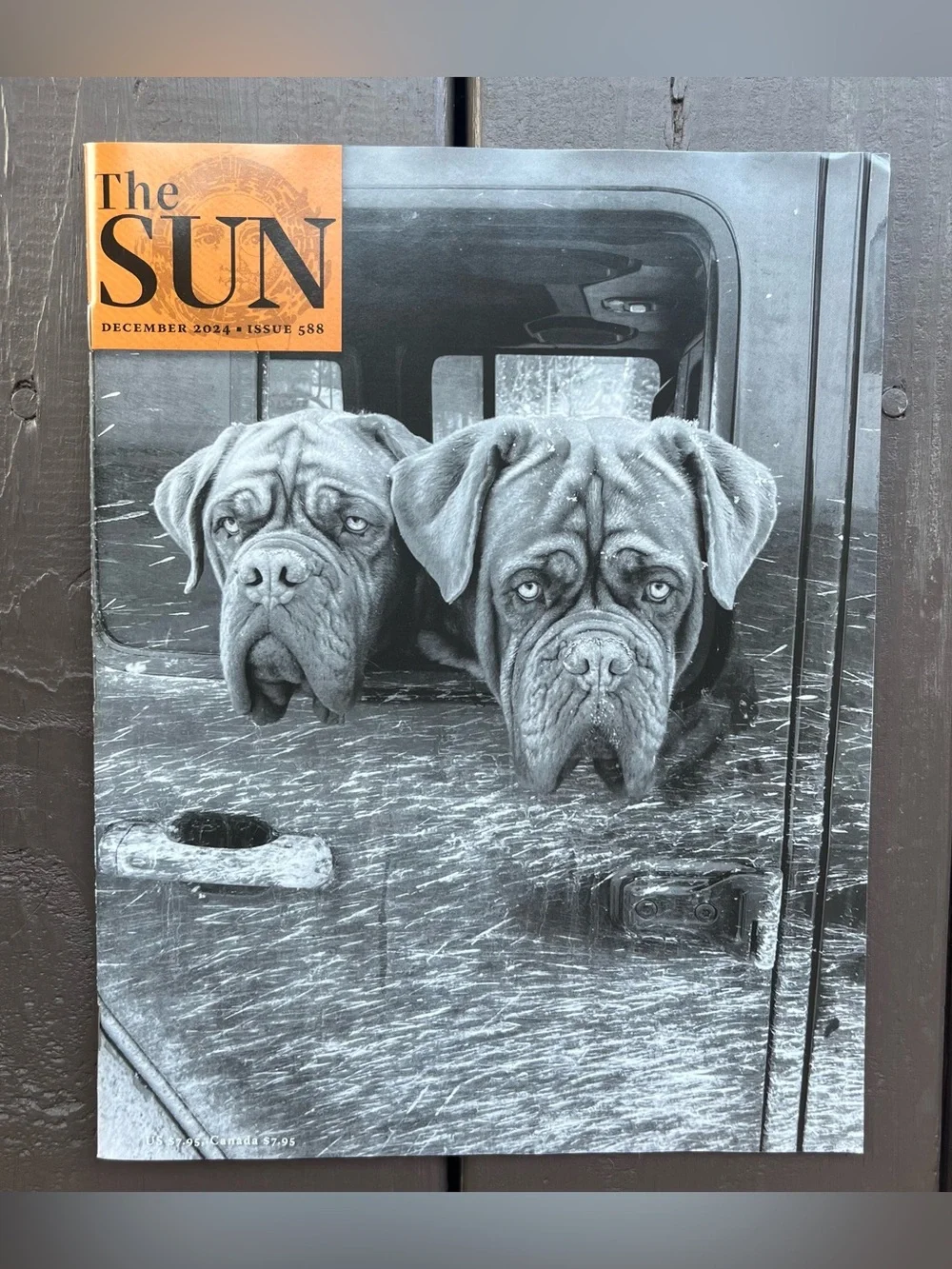 The Sun Magazine December 2024 Issue 588 French Mastiff Dogs Wind Phones New